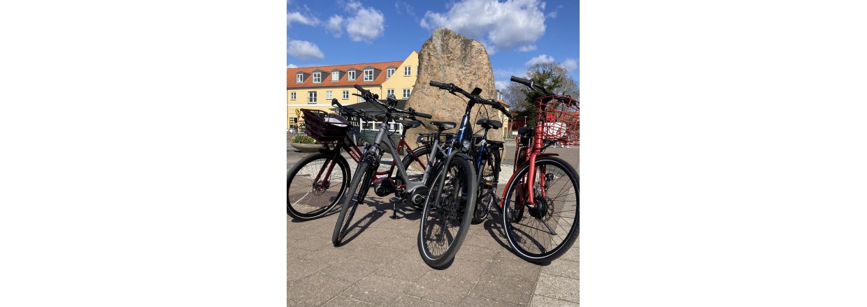 Hvilken el cykel skal jeg vlge