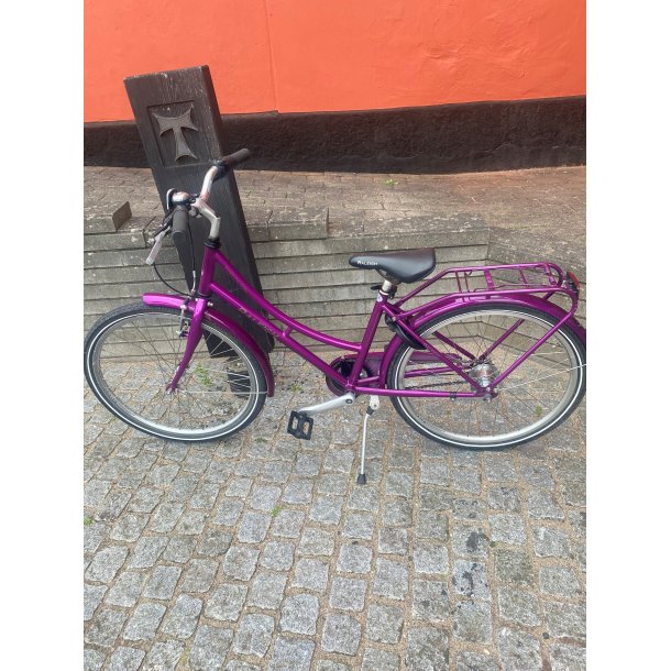 Brugt Raleigh 24