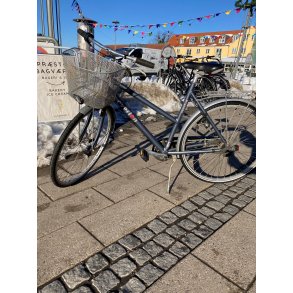 Brugt Everton, dame 56,5cm