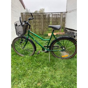 Brugt Rex, dame, 53 cm, 26